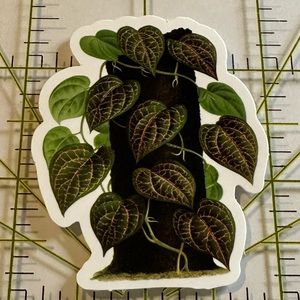 •Brand New• Plant Aesthetic Waterproof Sticker